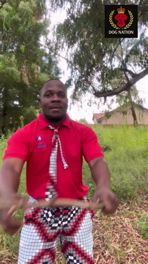 #halflondonpresidentdognation #foryou #viral #bobiwine #foryoupage | dog