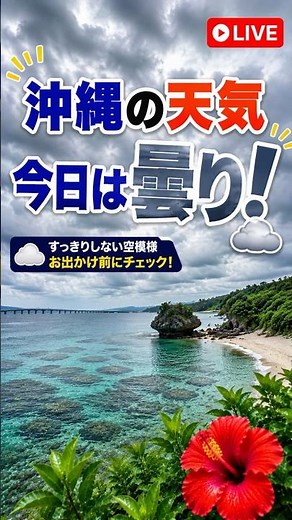 Okinawa LIVE Camera - Okinawa Weather: Maximum Humidity Alert