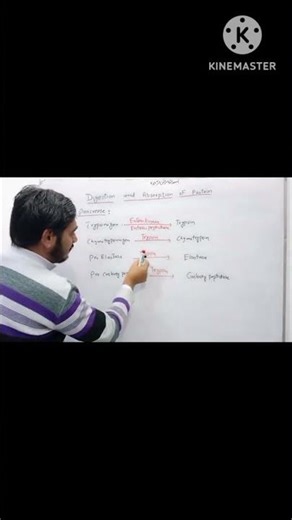 Digestion and absorption of Protein#Protein Metabolism# Protein Metabolism