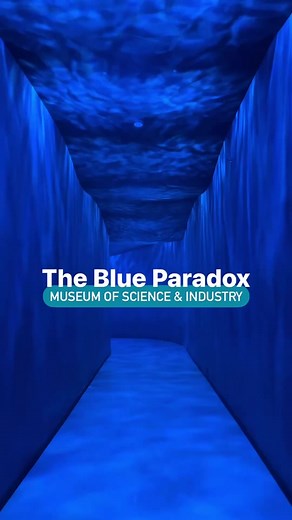 Immersive Exhibit: The Blue Paradox at Museum of Science and Industry