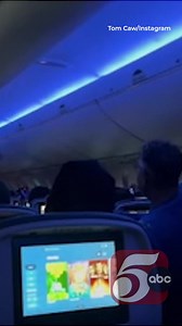 Pigeon on a Plane! See a passenger help catch a bird inside the cabin of a Delta flight headed from MSP to Wisconsin. | KSTP-TV