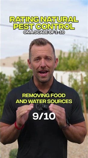 Which Natural Pest Control Works? (Ranked)