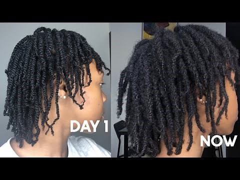 4 Month Loc Journey With Pictures and Videos | Two Strand Twists