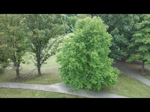 FIMI Mini 3 is very easy to fly