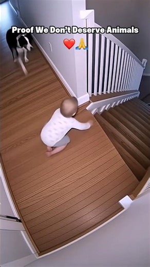 The Kindest Souls on The Planet 🥺 #shorts