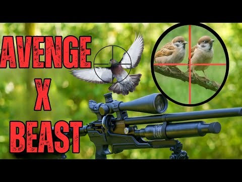 Air Rifle Hunting Like a Sniper – Unreal Accuracy!