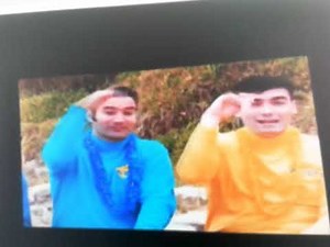 The Wiggles: Watching the Waves (2002)