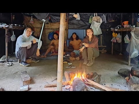 Jungle trekking in Sumatra with Orangutan's, Gibbon's, Macaque's, and many more!