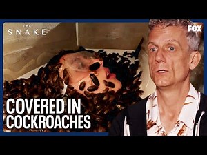 Contestants Covered In COCKROACHES While Completing a Puzzle | The Snake