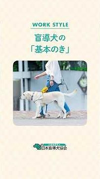 \\The basics of guide dogs🐶/