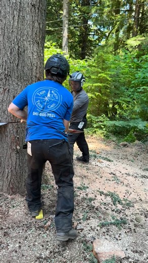 Ben Owens on Instagram: "Knockin down a thick Hemlock with @smithsrs 🌲 ☠️ 🏴‍☠️ @arbortecfw Vented pants were a lifesaver last summer @council_tool 5 lb wedge smacker #treeremoval #treework #instagood #arboristsofinstagram #reels @true_north_tree_care"