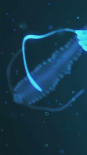 BIZARRE GLOWING ALIEN CREATURES IN THE SEA