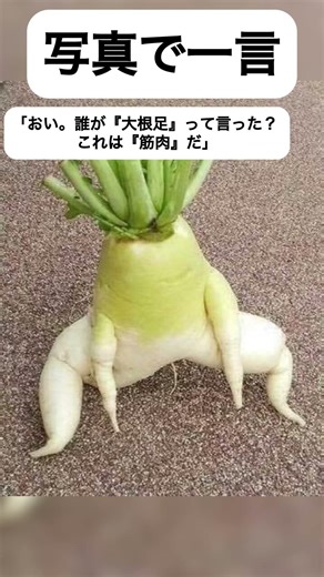 【大喜利】写真で一言。大根の逆襲#shorts #野菜#面白集 #大喜利