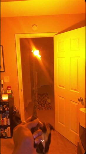 Exploring the Magic of Harry Potter Wands