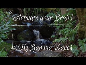 ACTIVATE your BRAIN | 40Hz Gamma Brain frequencies with relaxing ambient nature sounds