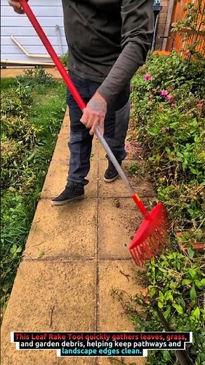Leaf Rake Tool for Clearing Garden Debris and Keeping Paving Edges Clean