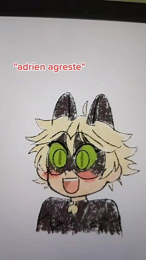 Miraculous Ladybug and Cat Noir Memes Compilation