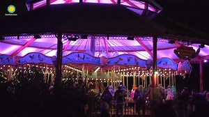 8.7K views · 296 reactions | ✨❄️As the sun sets at the Zoo, a safari of curious creatures awaits you—from an African elephant waving 'hello' to a chameleon catching his next meal. Don't miss these and dozens more 3-D glowing wildlife sculptures at ZooLights, powered by Pepco! ✨女 | Smithsonian’s National Zoo and Conservation Biology Institute | Facebook