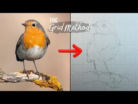 Sketch Like a Pro: Grid Method Tutorial for Beginners