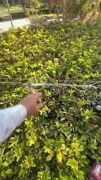 Cómo tensar cables de acero fácilmente