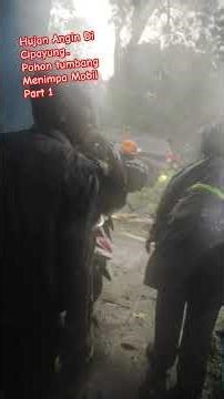 Rain and Wind in Cipayung.. Fallen Tree Hits Car Part 1 #cipayung #rainstorm #fyp #jakarta