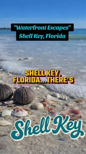 📍Shell Key, Florida... you don't drive here, you kayak or boat in. Proof Florida still has quiet places left. 🏝️ Would you spend a weekend out here? Drop comment 👇 Southern Roads Southern Travel Southern History Hidden Gems Hidden Highways Waterfront Escapes Nature and Nostalgia American South Travel Shell Key Florida Shell Key Preserve Florida clear water island #waterfrontescape #southonwheels #southerntravels #shellkey #clearwaterflorida