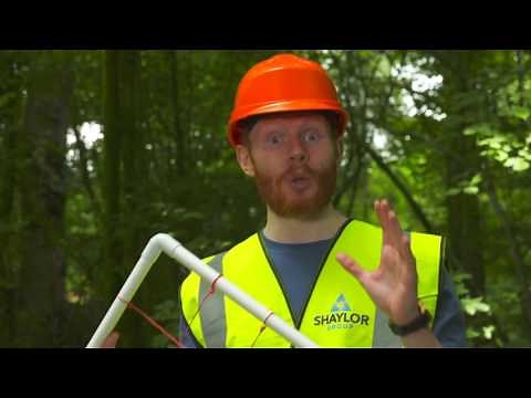 How do you sample species distribution?