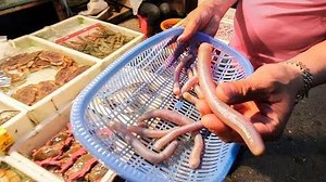 313K views · 6.2K reactions | Exotic Seafood and Street Food Tour in Guangzhou, China! Follow my instagram for updates to these street food journeys! www.instagram.com/thefoodranger | The Food Ranger | Facebook