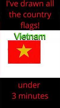 I must be crazy! Drawing All Country Flags of the World