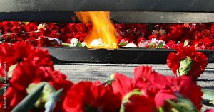 red carnations lined around the eternal flame.