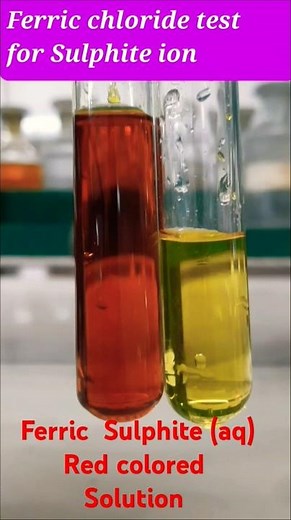 Ferric chloride test for Sulphite ion#class11chemistry practical.