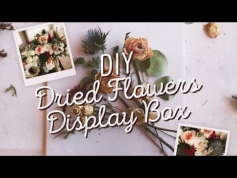 DIY Dried Flowers Display Box | TarinItUp