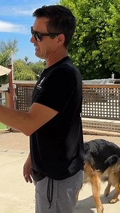 If your dog was really guarding you, why is he attacking the dog and not me — the stranger approaching you? | Beckman's Dog Training