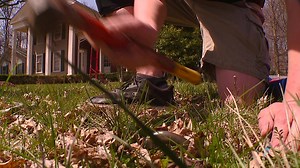 They can be so much fun for kids, but those backyard bounce houses can take things from fun to frantic in seconds. There are certain things parents should know before getting one for their child's next party... | Fox 8 News