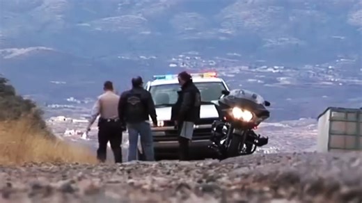 Gary Busey taken into custody