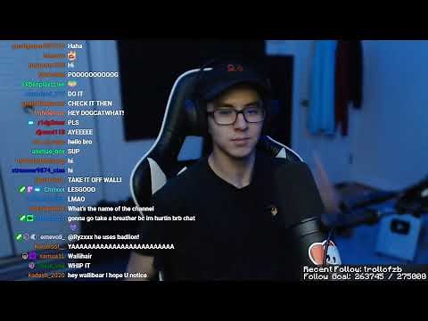 Official Wallibear Hair Reveal