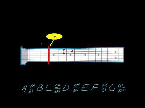 Understanding how a capo works