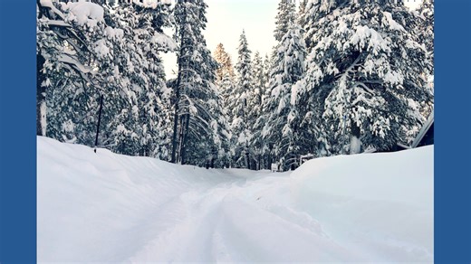 8 backcountry skiers found dead, 1 still missing after California avalanche