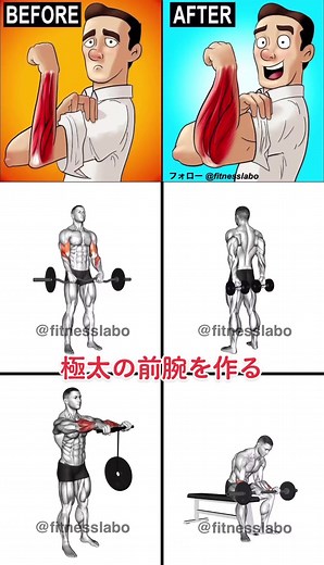 #筋トレ #ボディメイク #筋トレ動画 #筋トレ初心者 #ワークアウト #フィジーク #ダイエット #腕トレ #前腕トレーニング