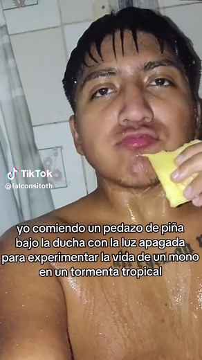 Experiencia de comer piña como un gorila en Chile
