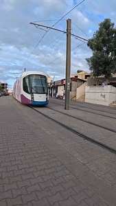 🚋 Le Tramway d’Alger roule aux couleurs d’Octobre Rose 💗 Un projet signé par notre équipe, en collaboration avec #HKIM23, où design, précision et engagement se rencontrent 🎀✨ #OctobreRose #Alger #Branding | 3S Marketing