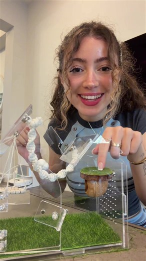 Nichole🎀 (@janicenicholee)’s video of nichole