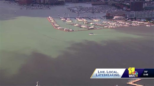 Why is the Inner Harbor green? An expert explains the pistachio tides