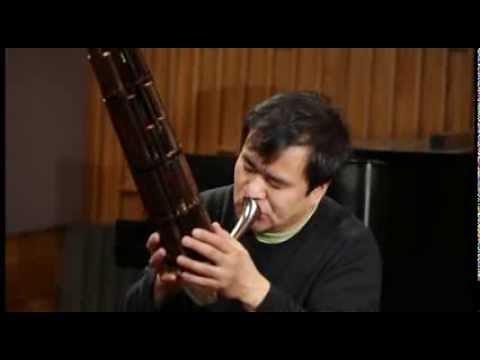笙独奏《摇篮曲》 胡建兵 即兴演奏 Chinese Lullaby by Hu Jianbing Impromptu Sheng Solo