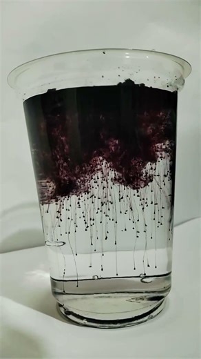 Magic Water colour Trick Gone Viral 🌈 #experiment #science #experimnent #colour #scienceexperiment