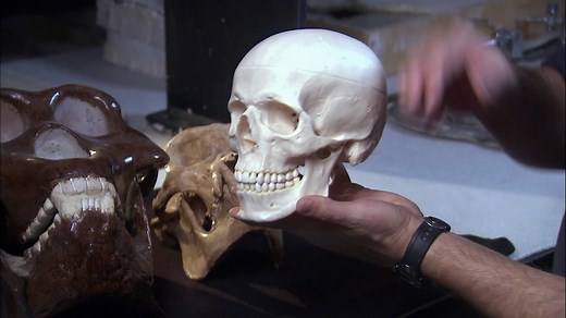 139K views · 3.5K reactions | Ancient astronaut theorists believe that extraterrestrial interference might have impacted the way humans evolved. | Ancient Aliens | Facebook