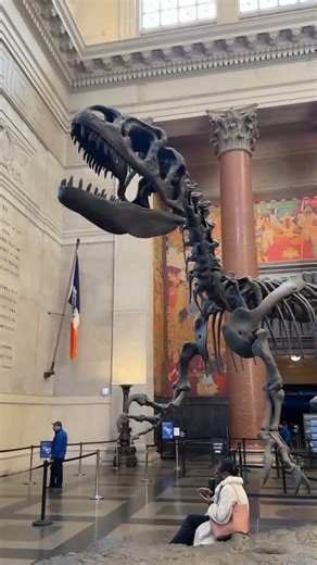 The American Museum of Natural History, fun and educational! | New York - NewYork.co.uk