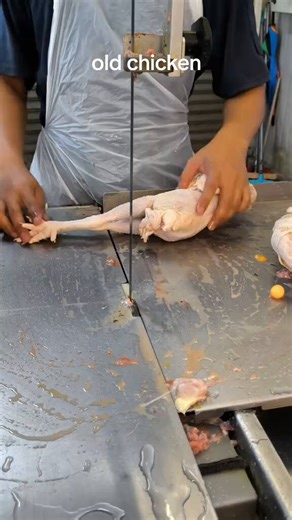 Old chicken cutting by machine
