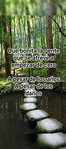 Empezar de nuevo #frases #canto #motivation #motivational #motivationalvideo #energia