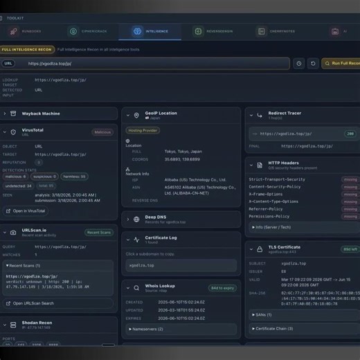 Investigate Domains, IPs & URLs Without Switching Tabs
